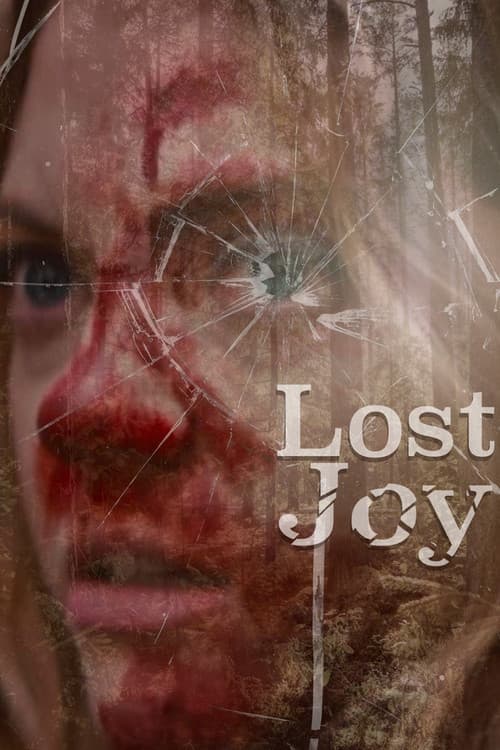 Lost Joy poster