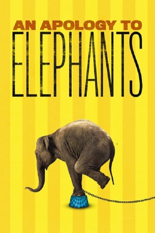 An Apology to Elephants poster