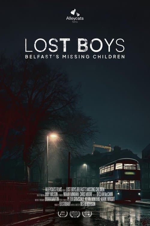 Lost Boys: Belfast's Missing Children poster