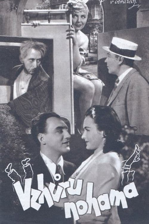 Vzhůru nohama poster