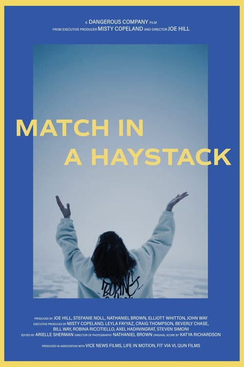 Match in a Haystack poster