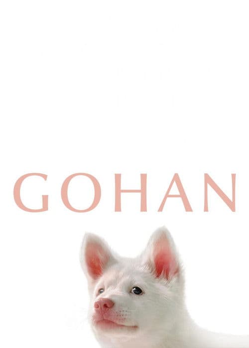 Gohan poster