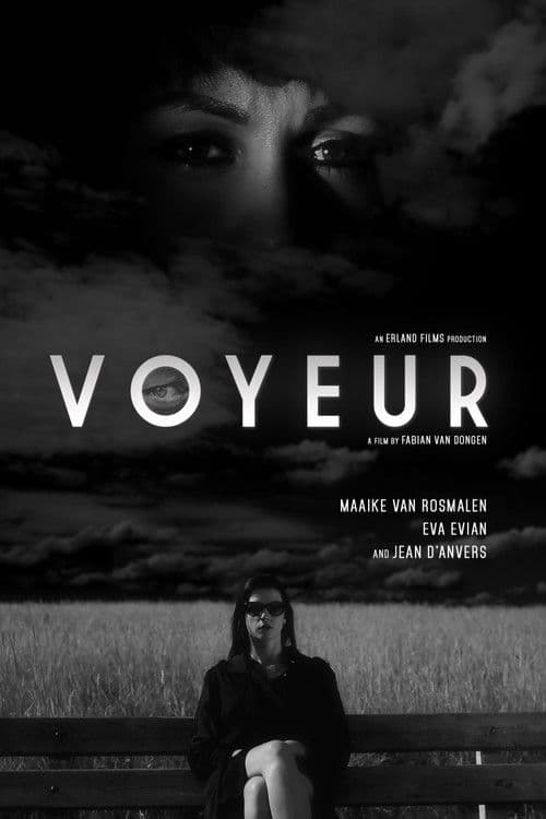 Voyeur poster