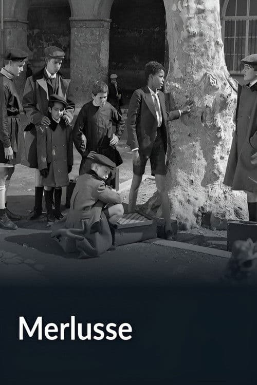 Merlusse poster