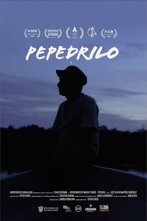 Pepedrilo poster