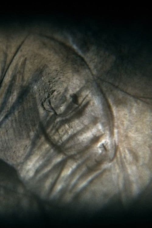 Camera obscura poster