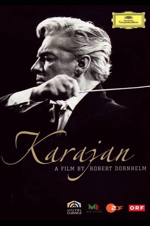 Karajan: Beauty As I See It poster