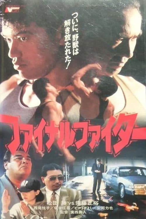 Final Fighter poster