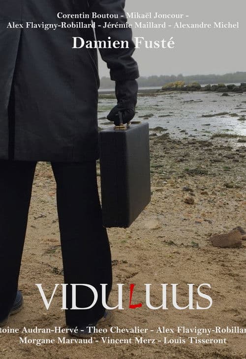 ViduLuus poster