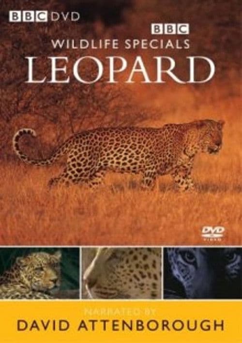 Leopard: The Agent of Darkness poster