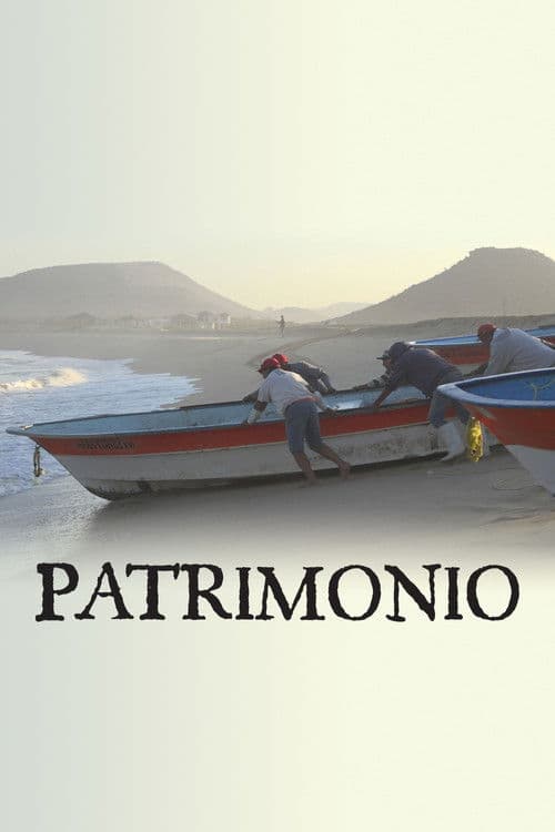 Patrimonio poster