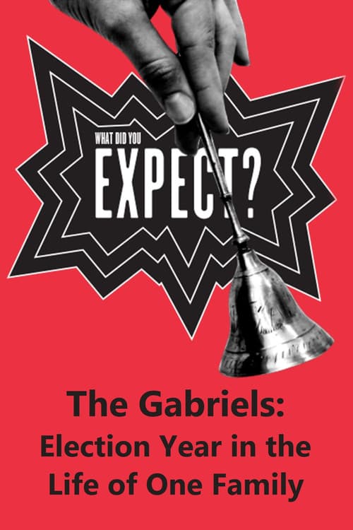 The Gabriels: Election Year in the Life of One Family, Play Two: What Did You Expect? poster