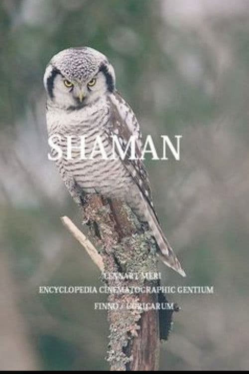 The Shaman poster