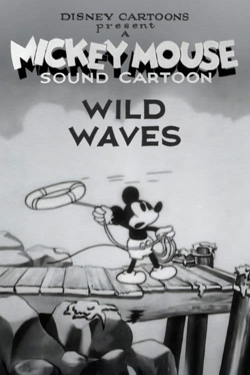 Wild Waves poster