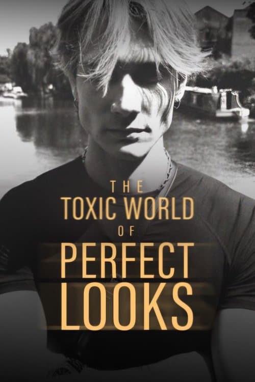 The Toxic World Of Perfect Looks poster