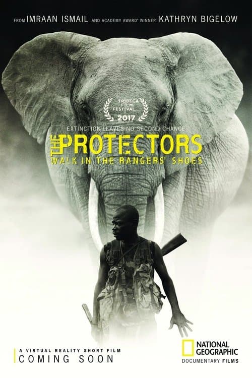 The Protectors poster