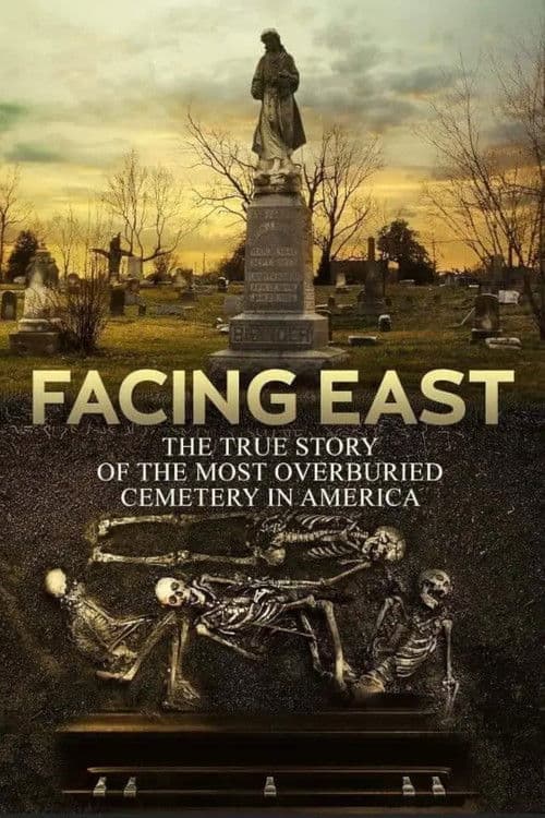 Facing East poster