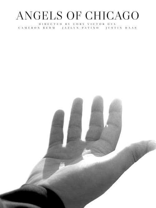 Angels Of Chicago poster