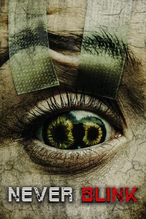Never Blink poster
