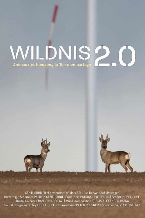 Wildnis 2.0 - Die Tierwelt auf Umwegen poster