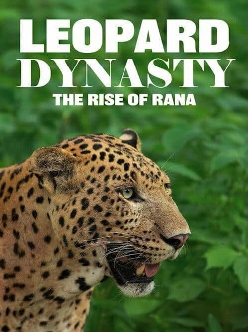 Leopard Dynasty – The Rise of Rana poster
