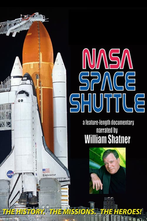 The Space Shuttle poster