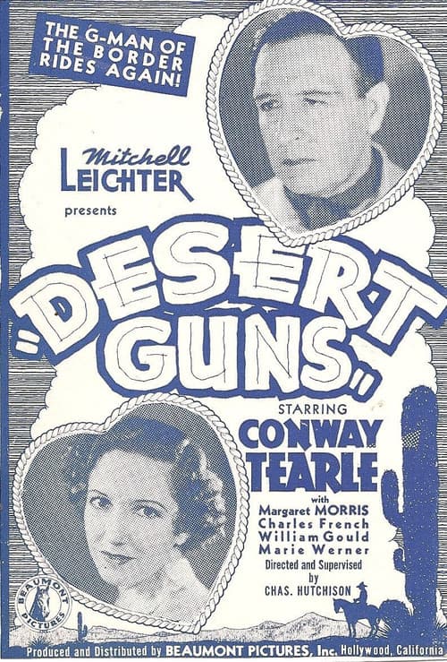 Desert Guns poster