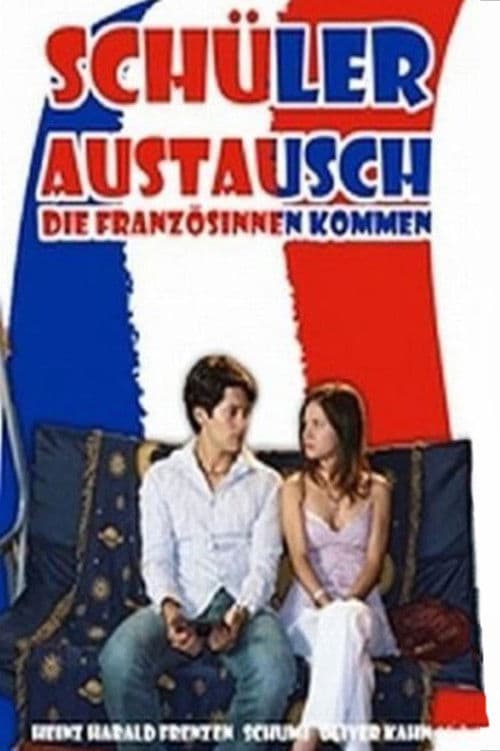 Schüleraustausch poster