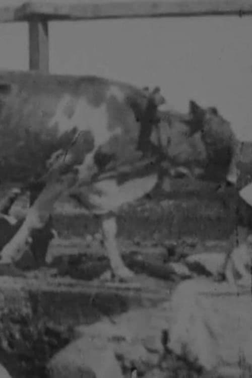 Egyptian Bullock-Pump Drawing Water poster