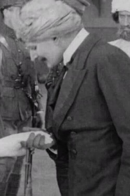 The Ring and the Rajah poster