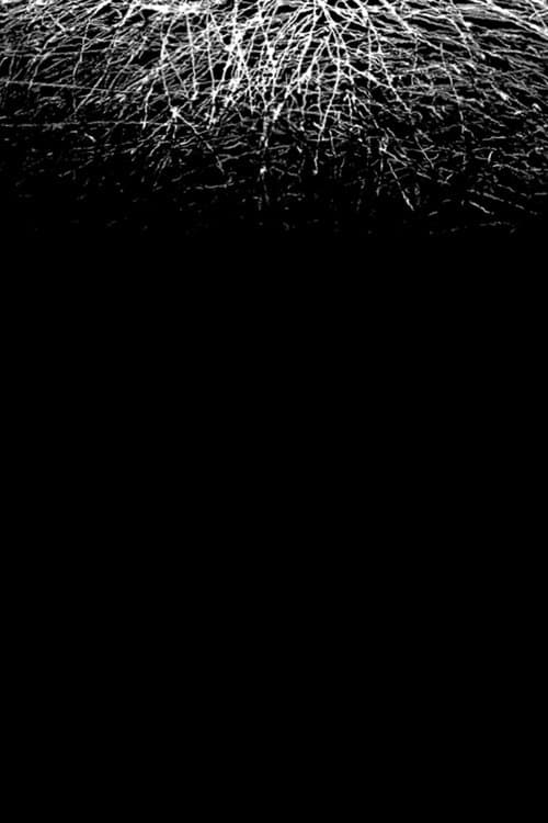 For When I Think, There is This Heaviness That I Would Rather You Not Carry poster