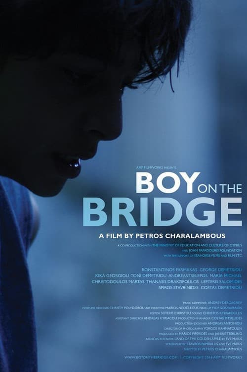 Boy on the Bridge poster