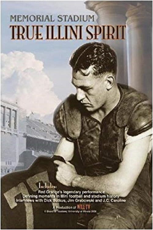 Memorial Stadium: True Illini Spirit poster