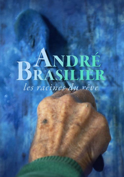 André Brasilier: Where dreams come from poster