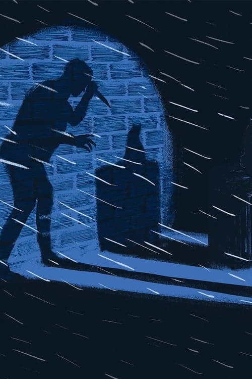 How to Catch a Cat Killer poster