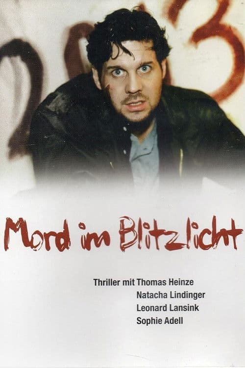 20:13 Mord im Blitzlicht poster