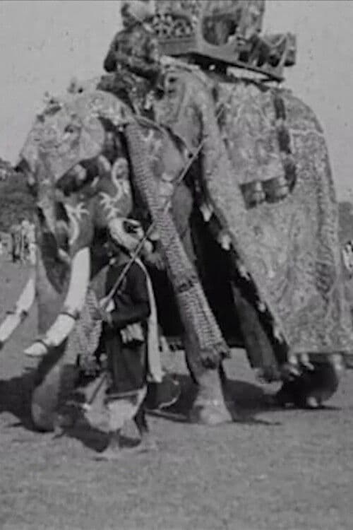 Calcutta Pageant poster