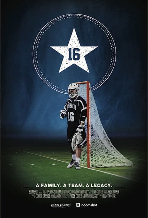 16 poster