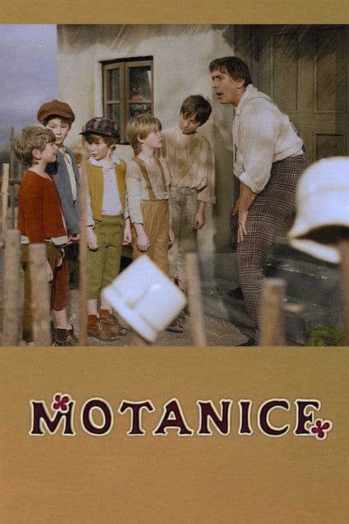 Motanice poster