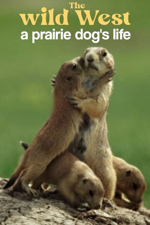 A Prairie Dog's Life poster