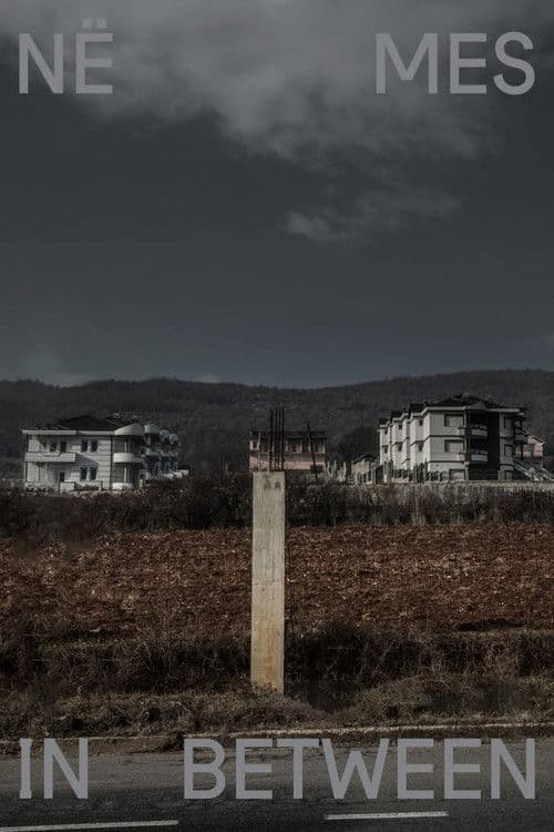 In Between poster