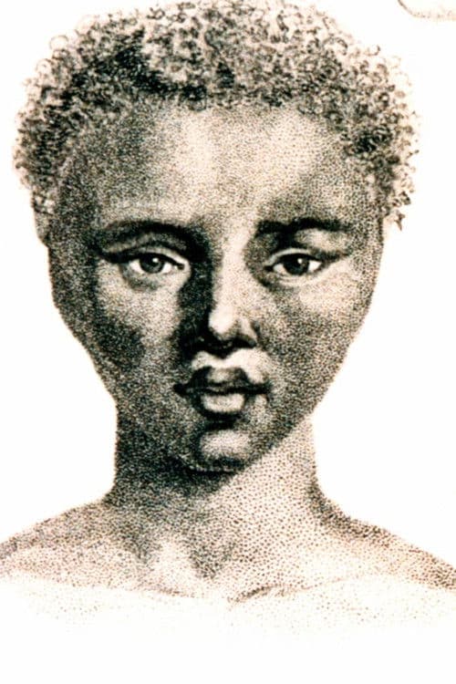 The Life and Times of Sara Baartman poster