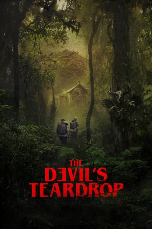 The Devil's Teardrop poster