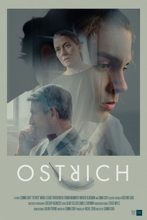 Ostrich poster