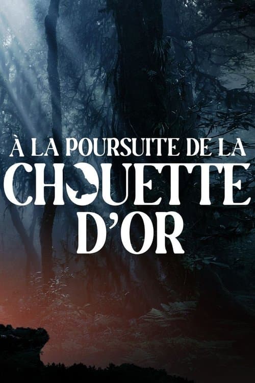A la poursuite de la chouette d'or poster