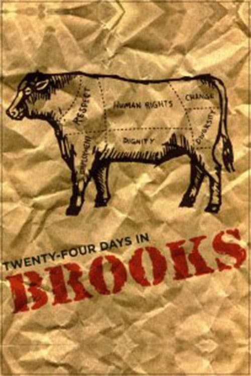 24 Days in Brooks poster