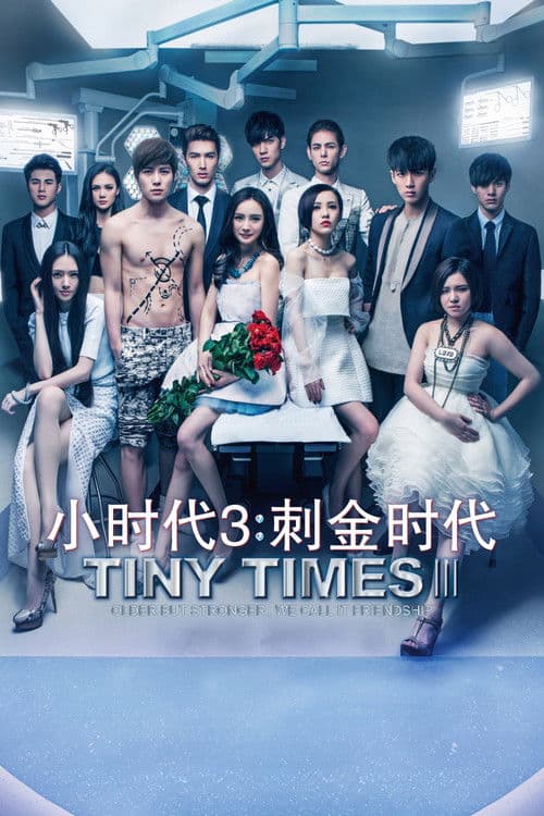 Tiny Times 3 poster