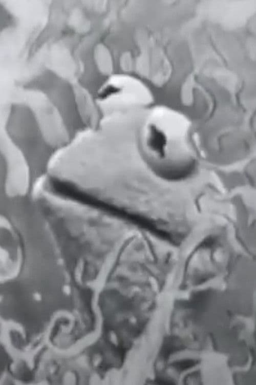 Visual Thinking poster