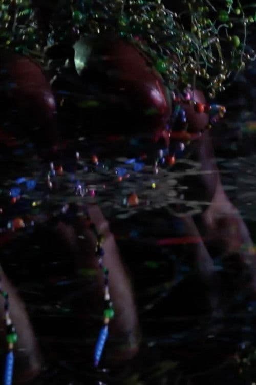 Good Stock On The Dimension Floor: An Opera poster