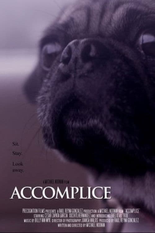 Accomplice poster